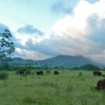 Profile picture of Yoko and Nigel Reid