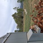 Profile picture of John and Carol Lilleyman