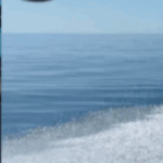 Profile picture of Neil