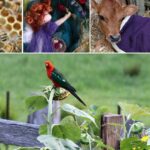 Profile picture of Rebecca Filet