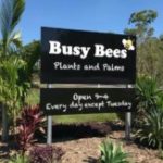 Profile picture of Busy Bees Plants and Palms