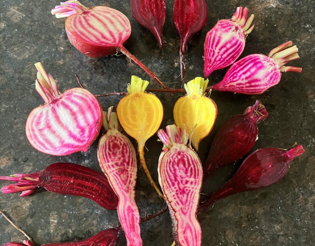 3ADB1470-D4DA-49AB-B1FE-76D998BDB2A1