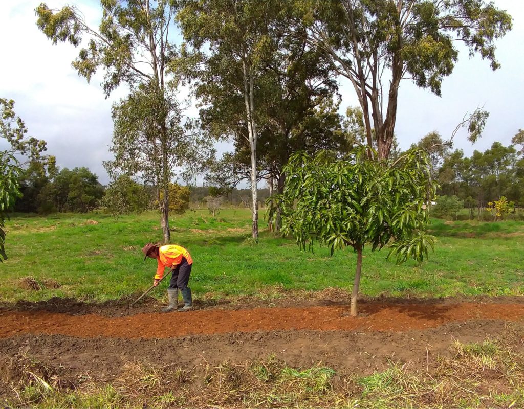 P_20180706_115022-min