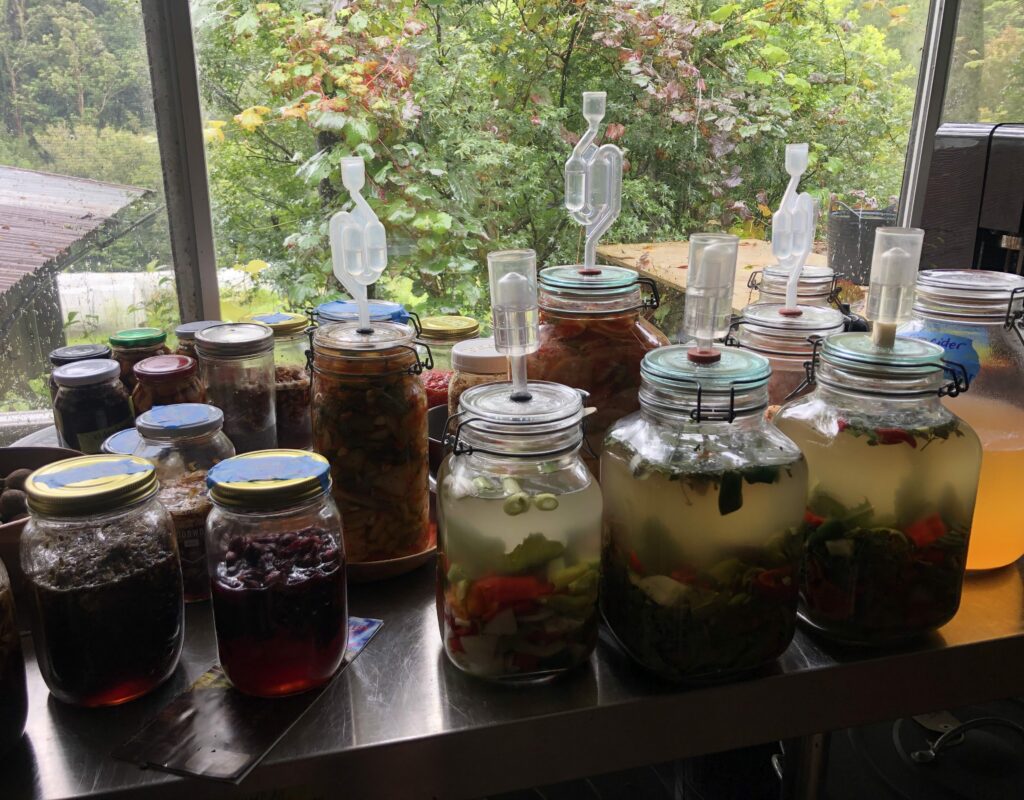 Our ‘Fermentation Station’