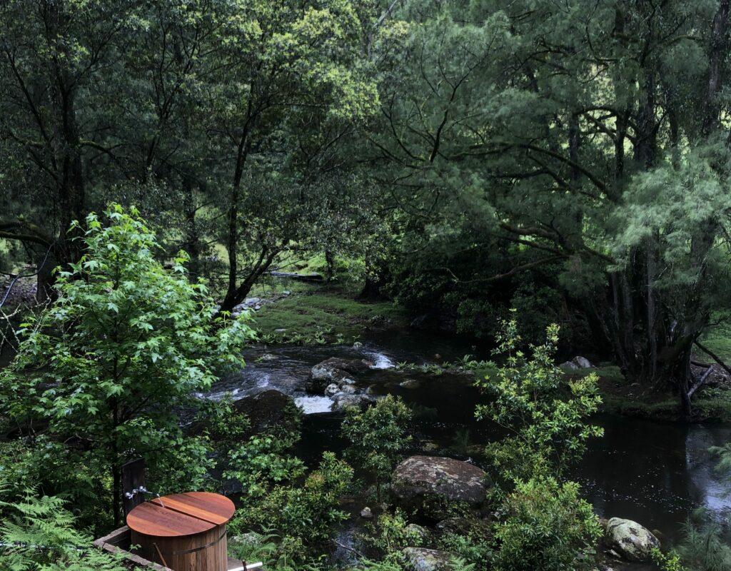 Our Beautiful Creek and Cedar Bath