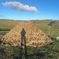 37451956-5300-415E-889C-D1D67F8DCC72 