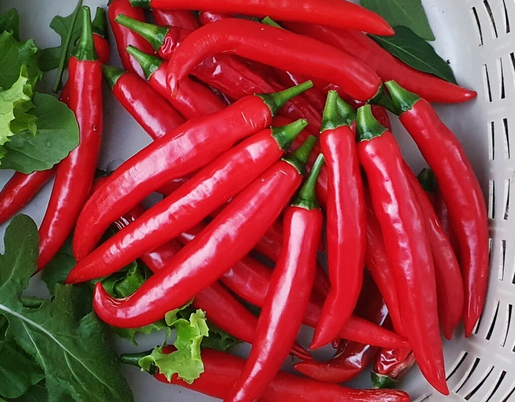 IMG_20210601_173103_139