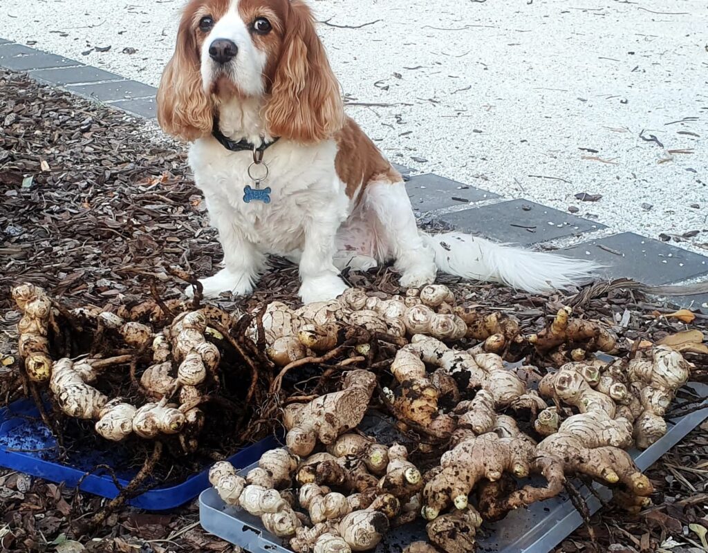 IMG_20210917_183604_638