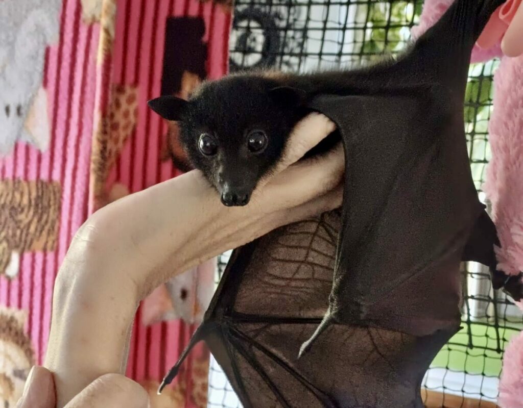 be610f17-6561-41bc-877d-0399474d42c6