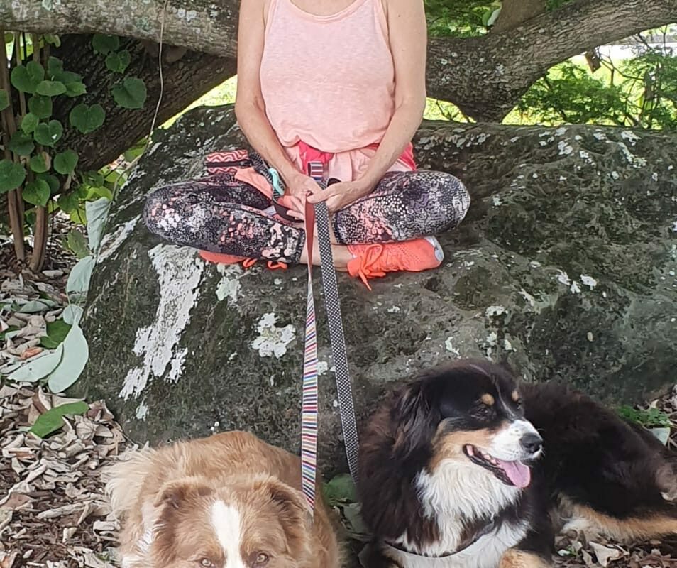 dfd0170a-c7e0-4f89-a7f4-480988e0ac51