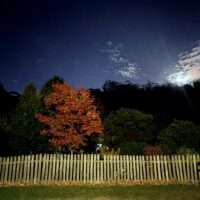 IMG_5282 