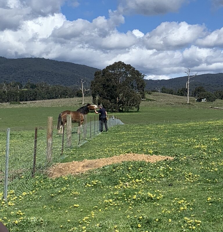 3E1DF482-DF23-4E87-A997-DBC7E069F9CE_1_105_c