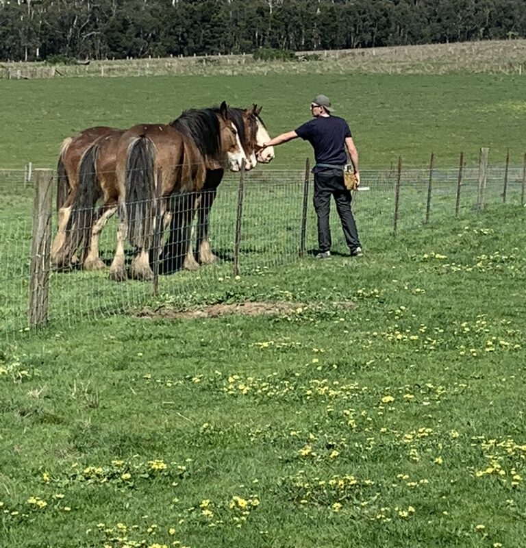 4F95992E-8D66-4567-A33D-23941AABFAD0_1_105_c