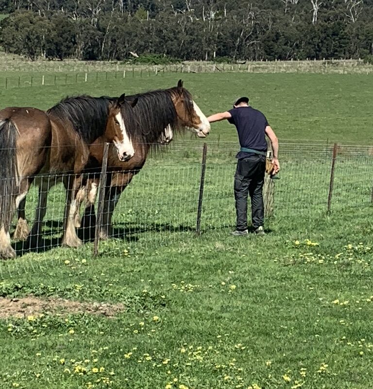 8678F080-9306-472C-BAD9-05915A14C651_1_105_c