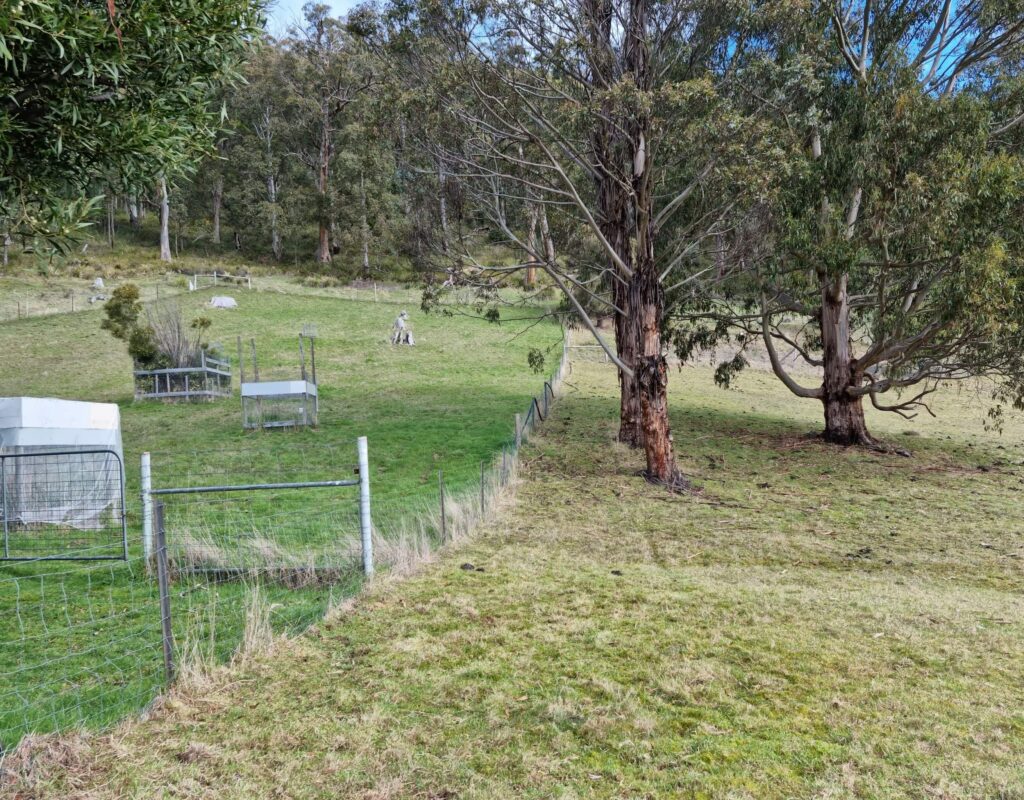 284C1D01-7472-4907-82A4-402794C803C0