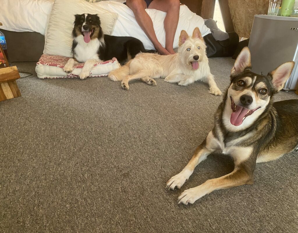 7EFCCBC4-E72E-46DE-B8CF-223B8D83A98D