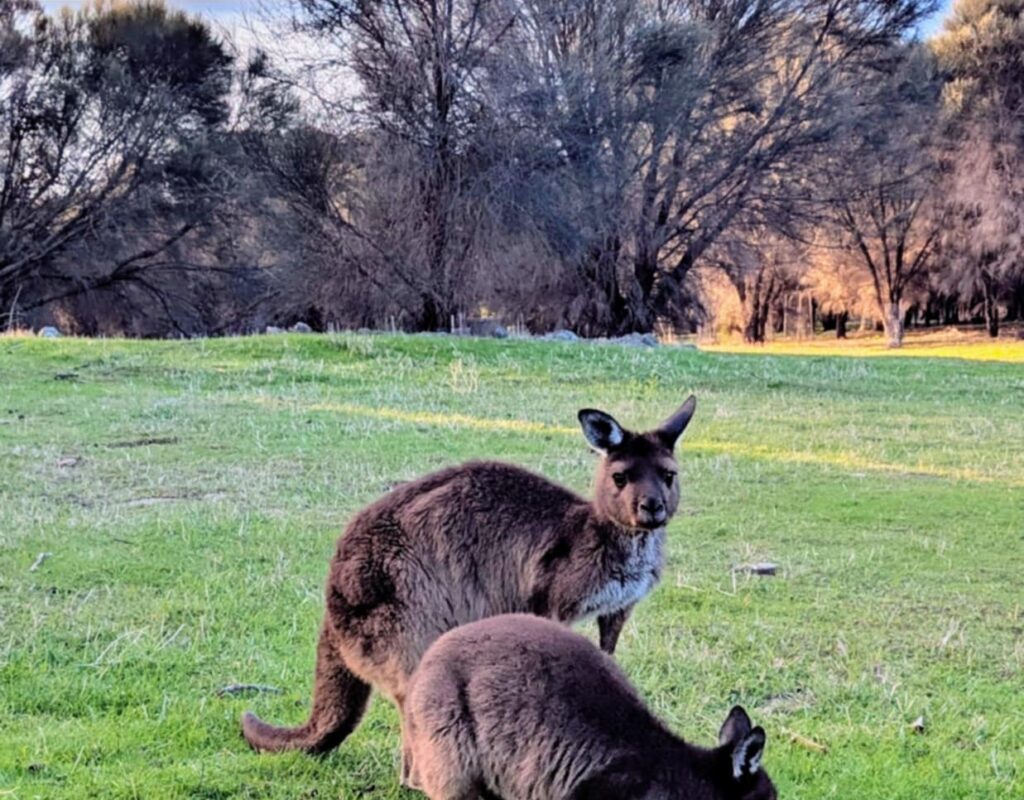 Messenger_creation_DFE9B6EF-F32D-47CF-B921-07F5C728AC4F