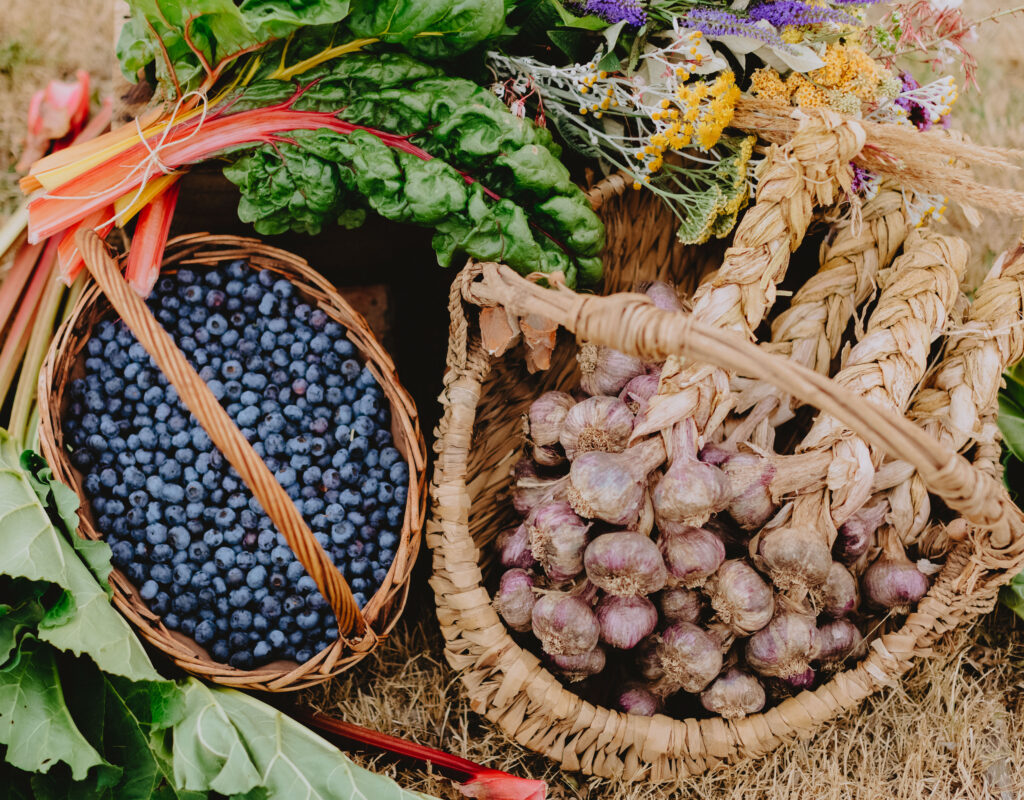 ArtistsandAg_ChloeSmithPhotography_0230