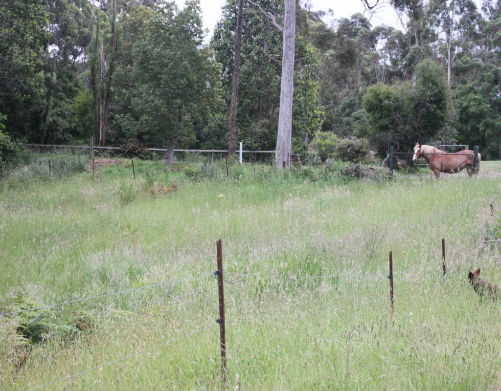 Surrounding farmland and bush