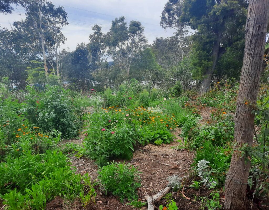 received_1096816137625908