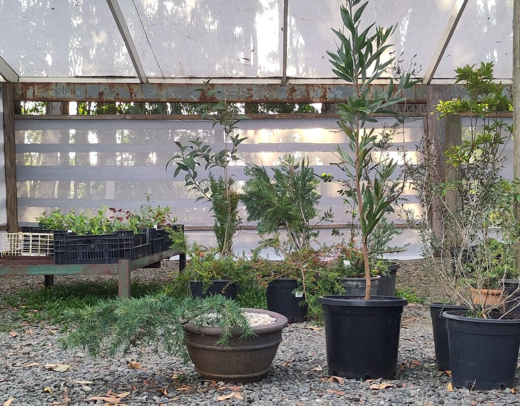 IMG_20250227_184450-min