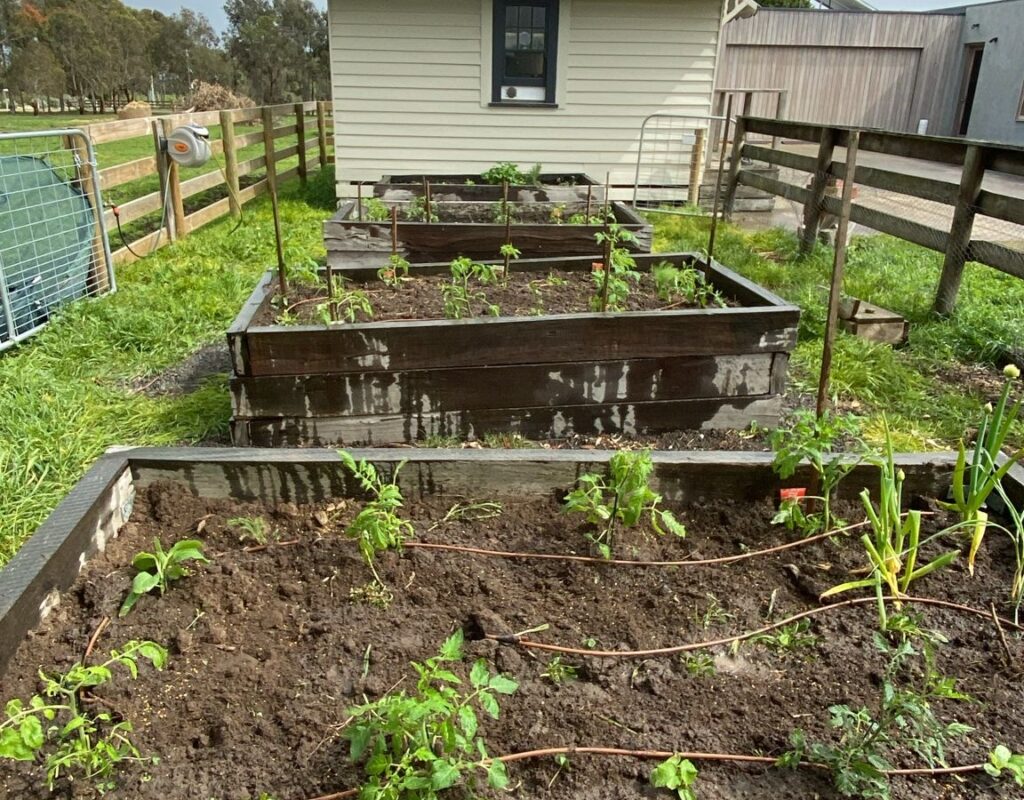 67a8cf8d-4568-4061-a965-6faea8169404