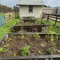 67a8cf8d-4568-4061-a965-6faea8169404 