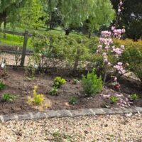 73c66b97-2227-4b31-8d1c-01f68c35e329 