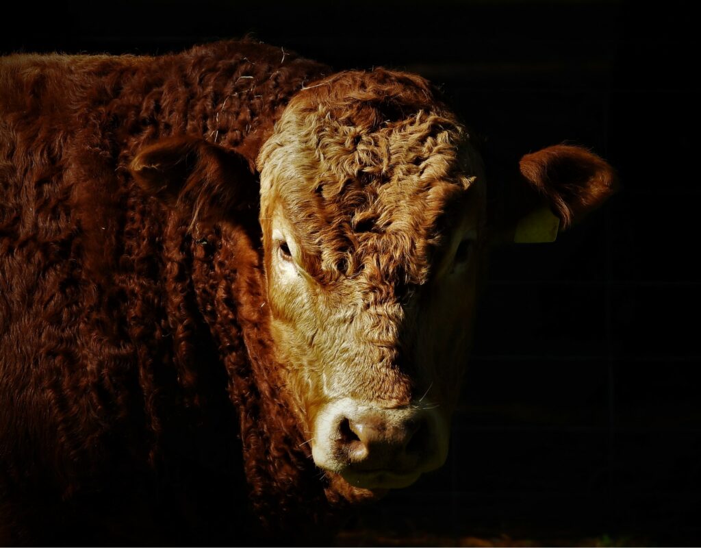 04C453DA40274FC89B5F566A326A6DF5 2