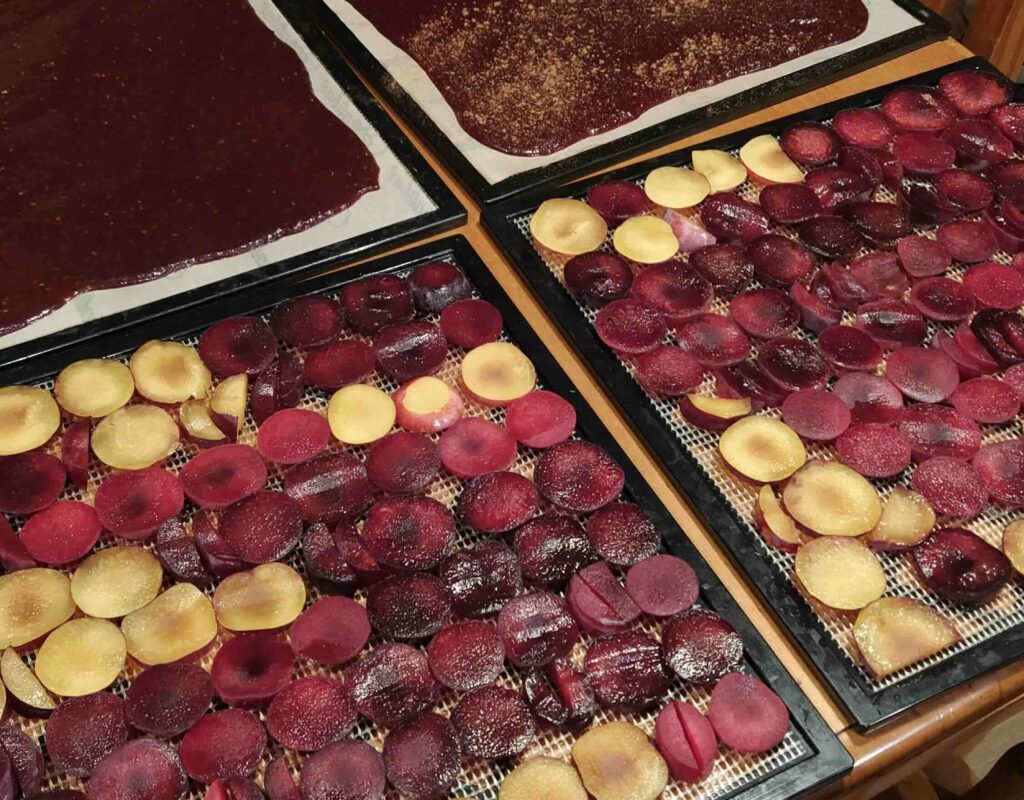 Fruit to be dehydrated