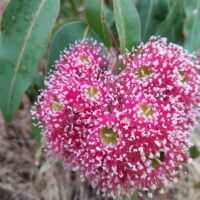 IMG_20260210_094006