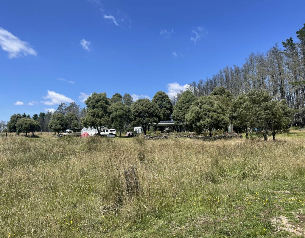 05CCEC02-7C0C-43A3-96DF-89ECC3447420