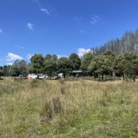 05CCEC02-7C0C-43A3-96DF-89ECC3447420