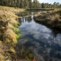 resize Marie_Sassafras__PIP_071