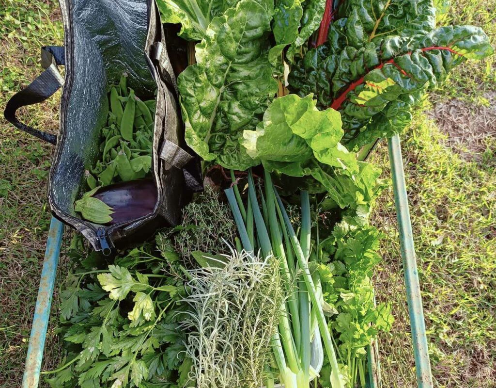 received_1253367449181237