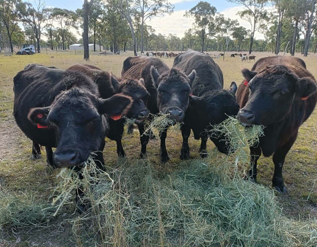 received_2207227836330712