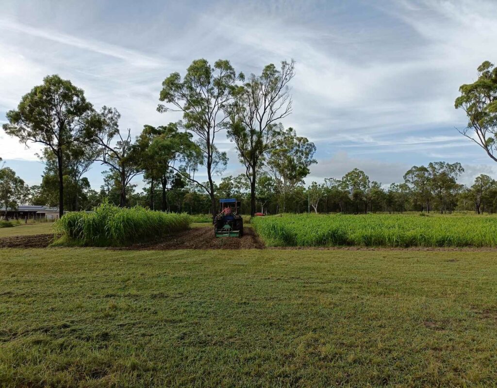 received_532212636415788