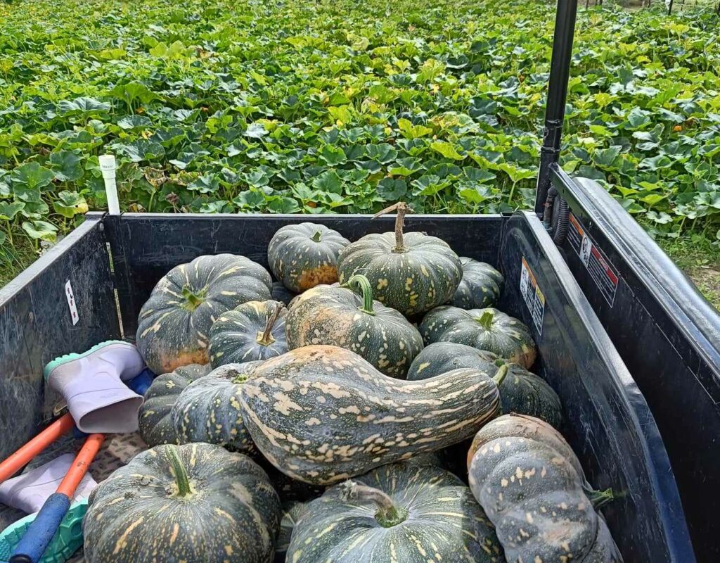 received_554462427262265