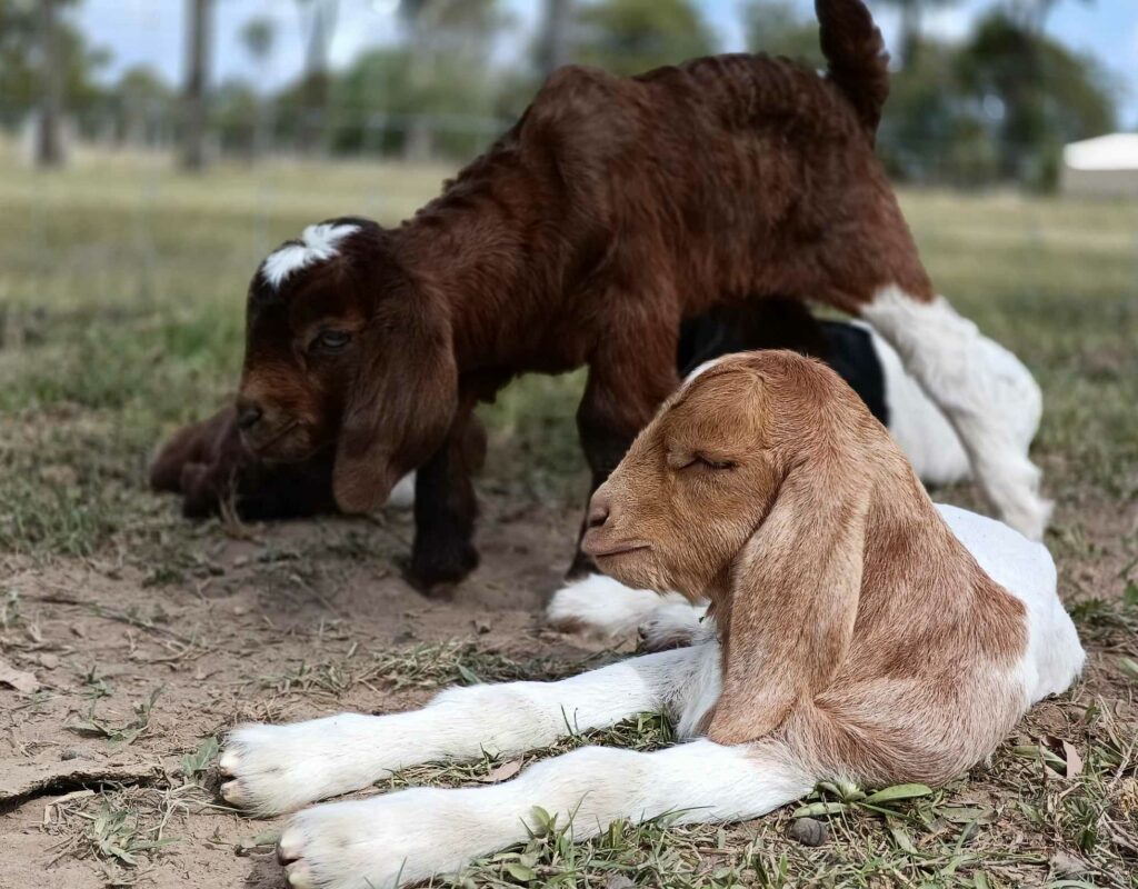 received_891839059558275