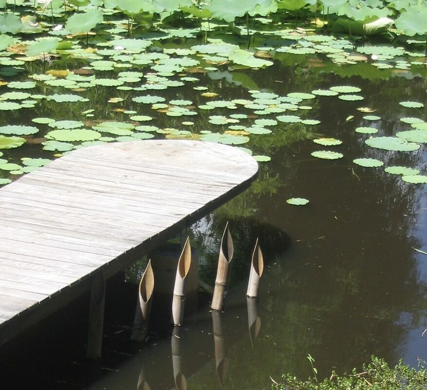 3E47CC4F-53E9-4826-AB97-4D1E883E56AF_1_105_c