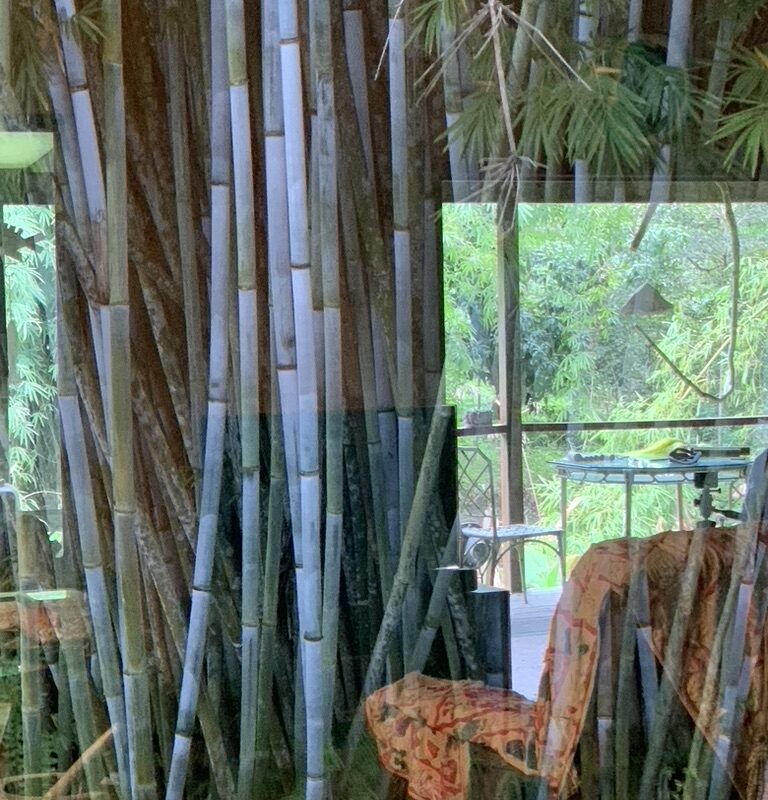 F397C949-0B97-4CDA-8CD0-E1687C0B4F87_1_105_c