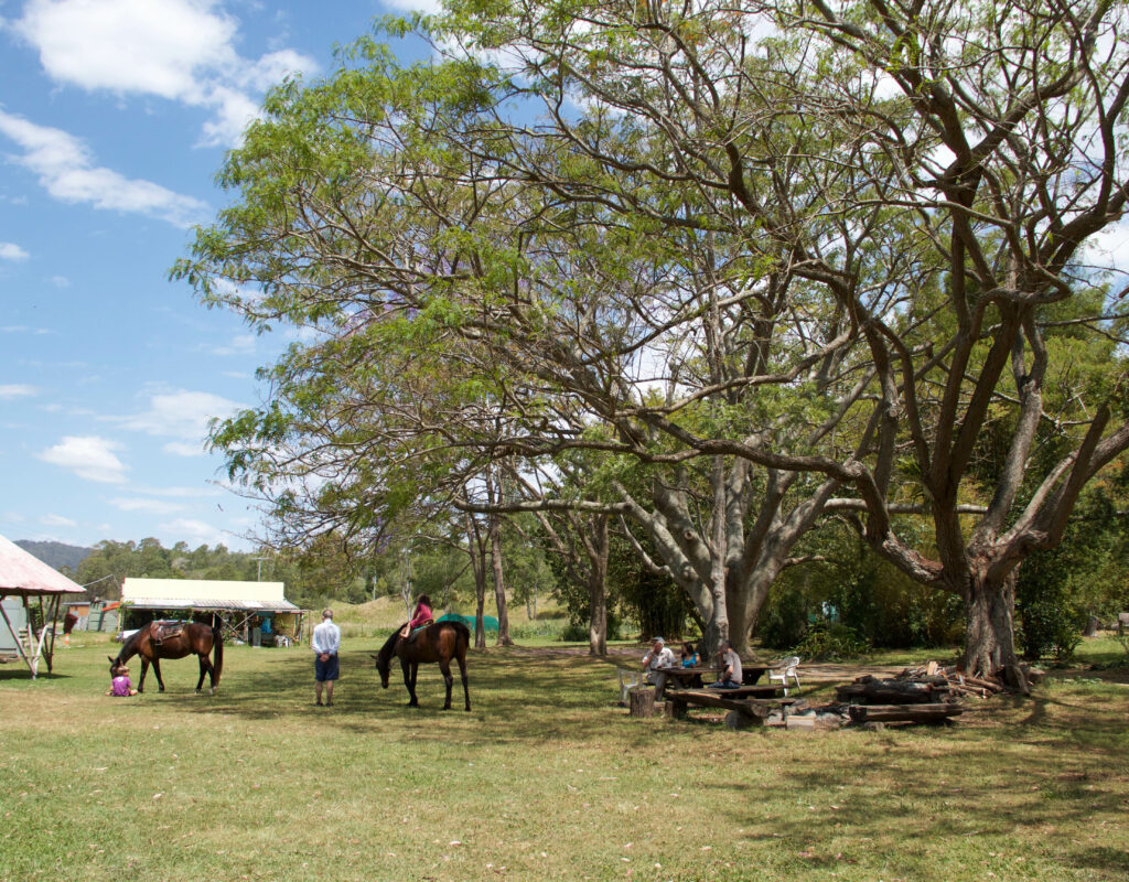 6E3199BA-333B-4113-B377-D534B643A0DC