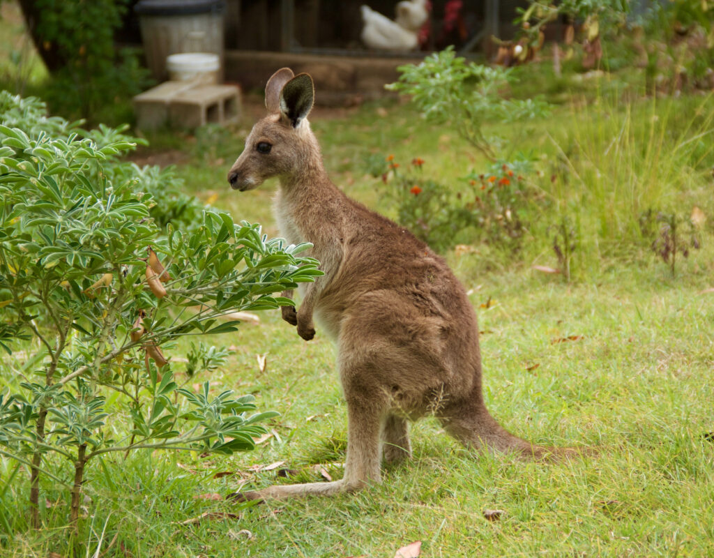 6E860549-D72D-4DDA-BE00-413604C02745