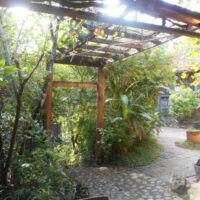 B4E82858-DBB8-40A3-9E24-4617BBE38750_1_105_c 