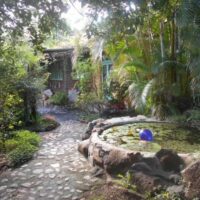 E6EB1F68-03DC-44BE-A1E9-6D9BD9AA8B84_1_105_c 