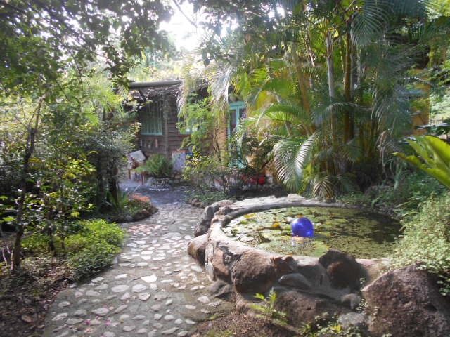 E6EB1F68-03DC-44BE-A1E9-6D9BD9AA8B84_1_105_c