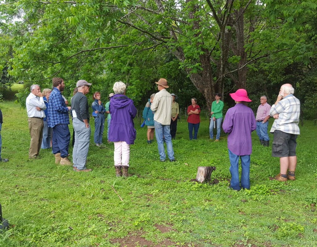 BMRG project, workshop