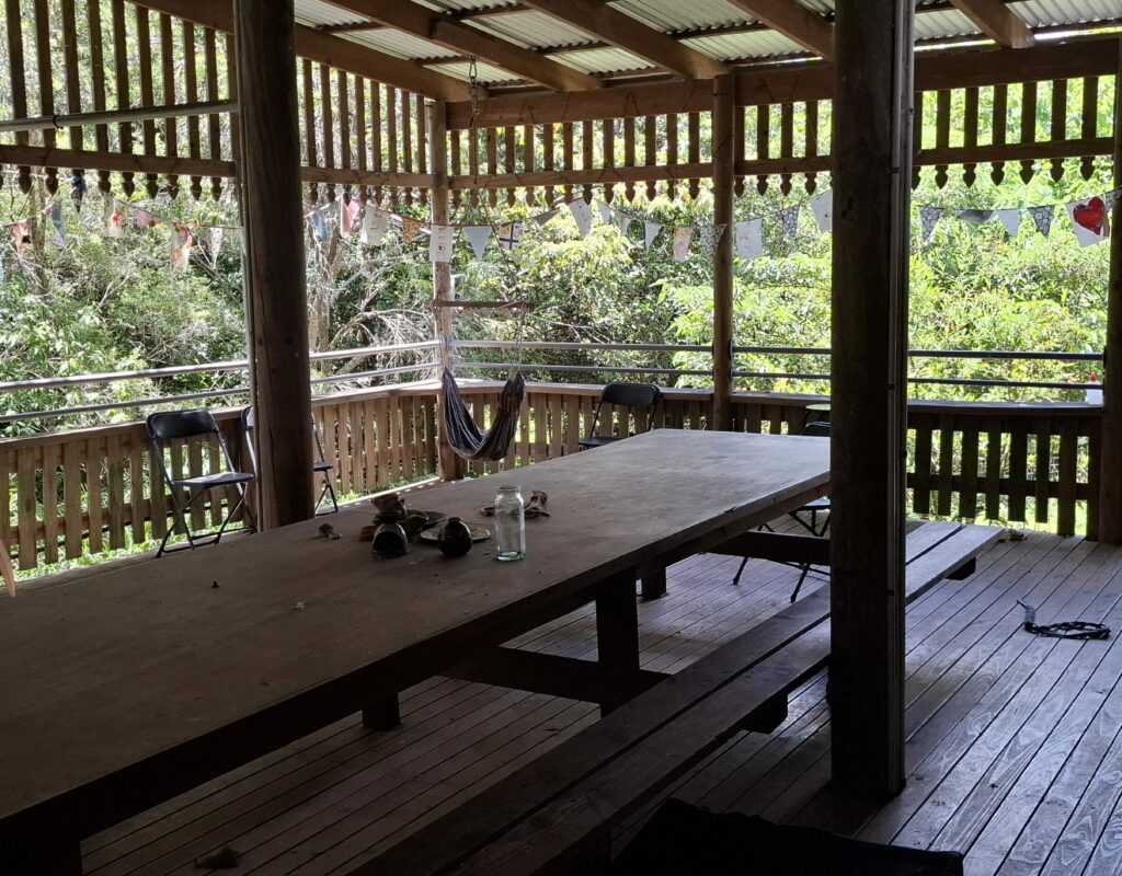 Decking surrounded by garden and rainforest