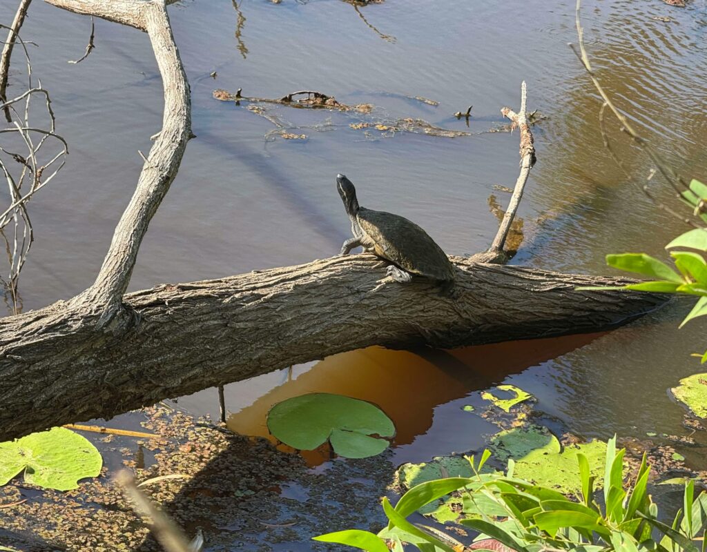 462555314_891304746356155_8616374942343480778_n