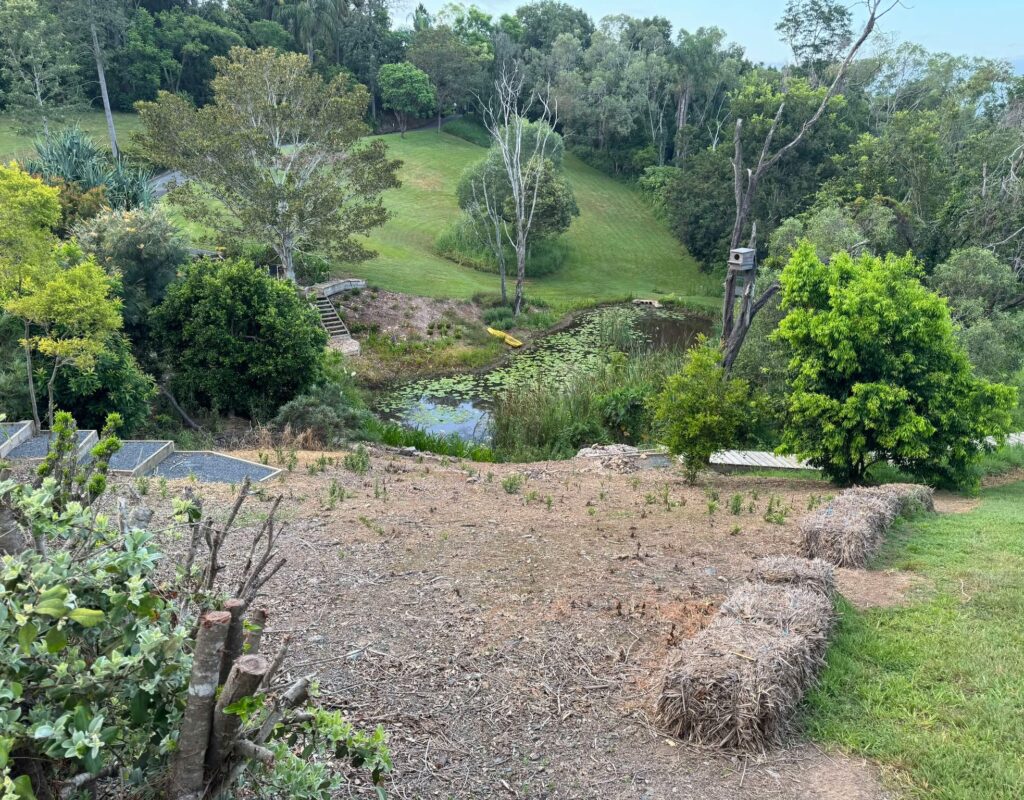 462571469_1121412122949993_4302916048790768600_n